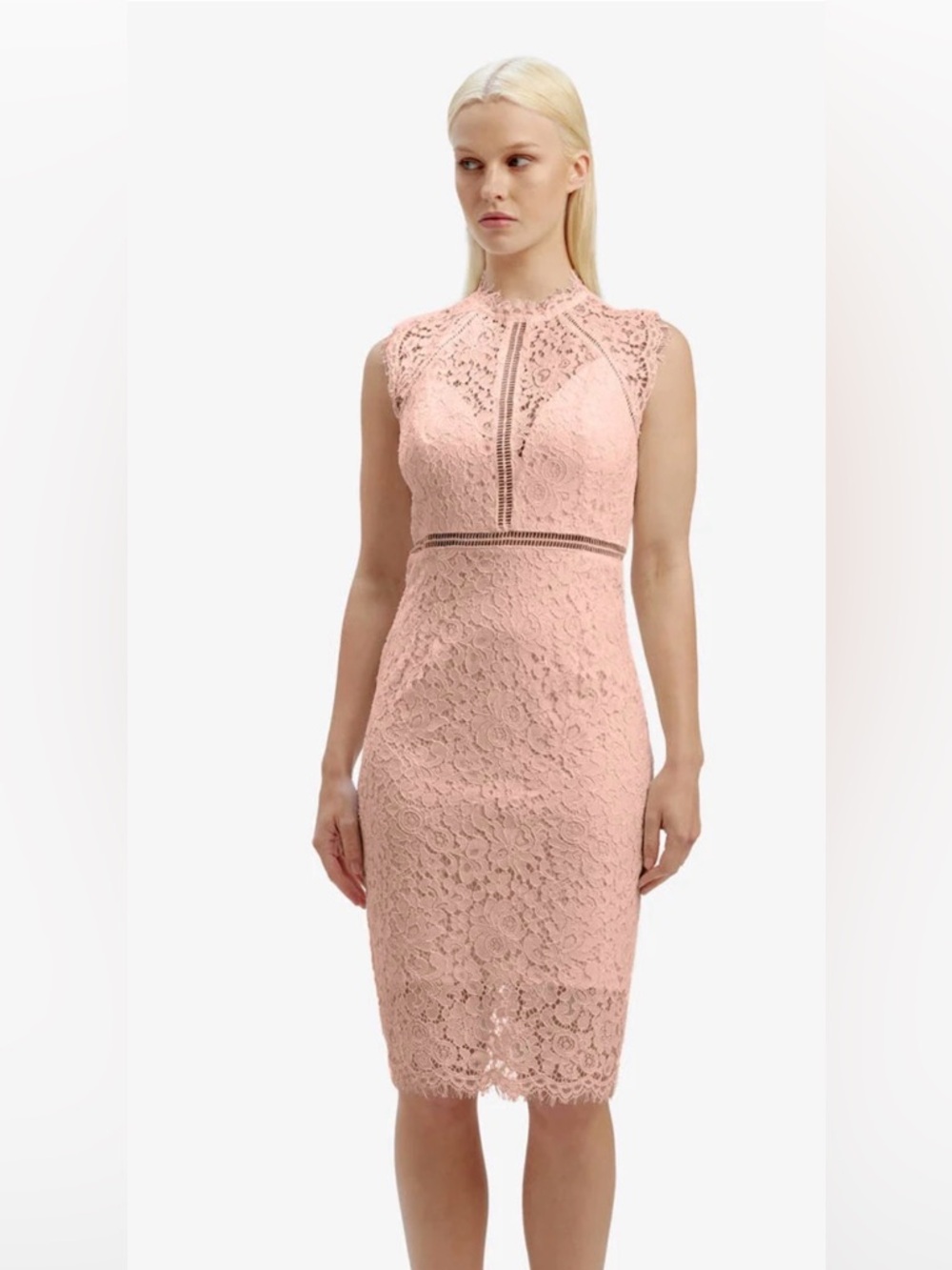 Bardot Lace Panel Dress In Pale Blush Size 4 NEW